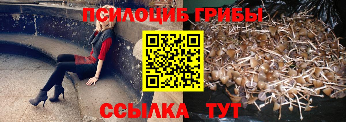 Галлюциногенные грибы Psilocybe Первоуральск